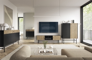 ZESTAW MEBLI DO SALONU DIVA - LAMELE